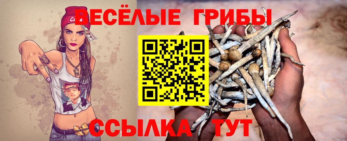 Псилоцибиновые грибы мухоморы  Вход с VPN  Горно-Алтайск 